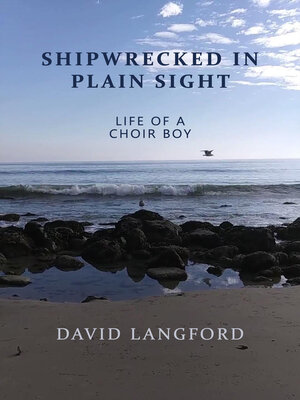 cover image of Shipwrecked in Plain Sight